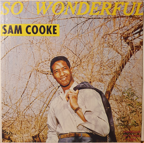 Sam Cooke - So Wonderful Album Cover [Metaalprint]