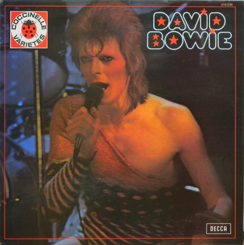 David Bowie - David Bowie Album Cover [Metaalprint]