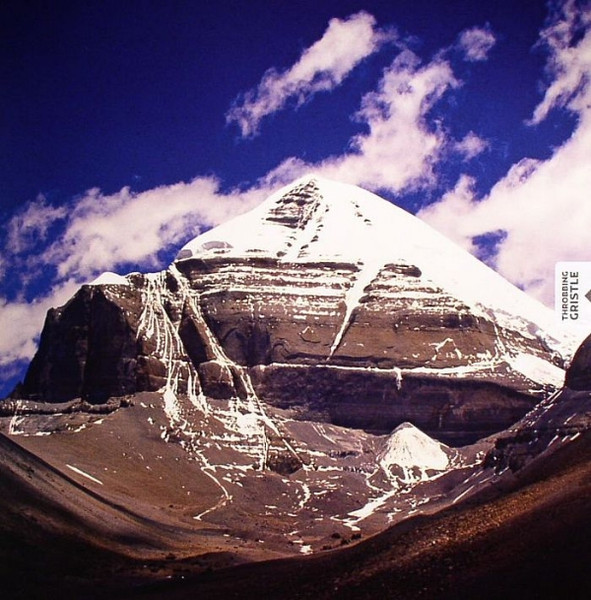 Throbbing Gristle - The Endless Not Album Cover [Metaalprint]