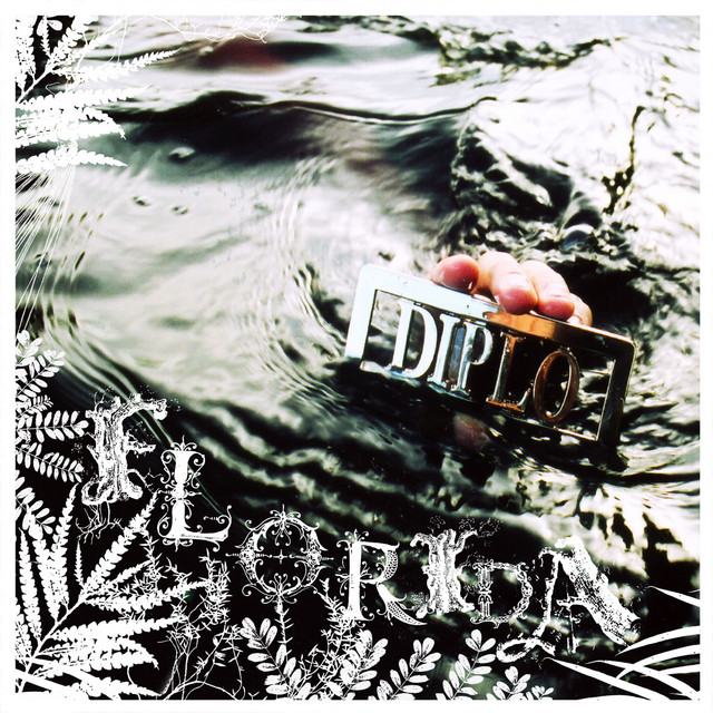 Diplo - Florida Album Cover [Metaalprint]