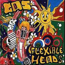 GAS (11) - Flexible Heads Album Cover [Metaalprint]