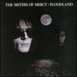 Sisters Of Mercy, The - Floodland Album Cover [Metaalprint]