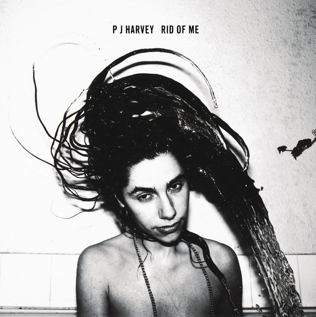 PJ Harvey - Rid Of Me Album Cover [Metaalprint]