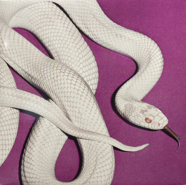 Deftones - Private Music Album Cover [Metaalprint]